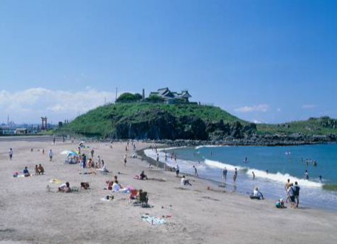 【2025年最新】青森県八戸市エリアのおすすめ整骨院・鍼灸院10選｜腰痛・肩こり・スポーツ障害・交通事故治療まで口コミで評判の施術院を徹底比較