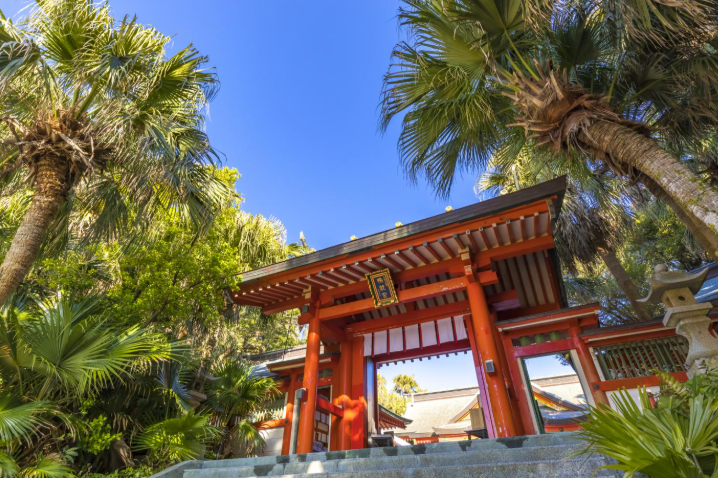 【南国市で評判の整骨院・鍼灸院10選】腰痛・肩こり・産後ケア・スポーツ障害まで口コミで話題の施術院を徹底比較【2025年最新版】