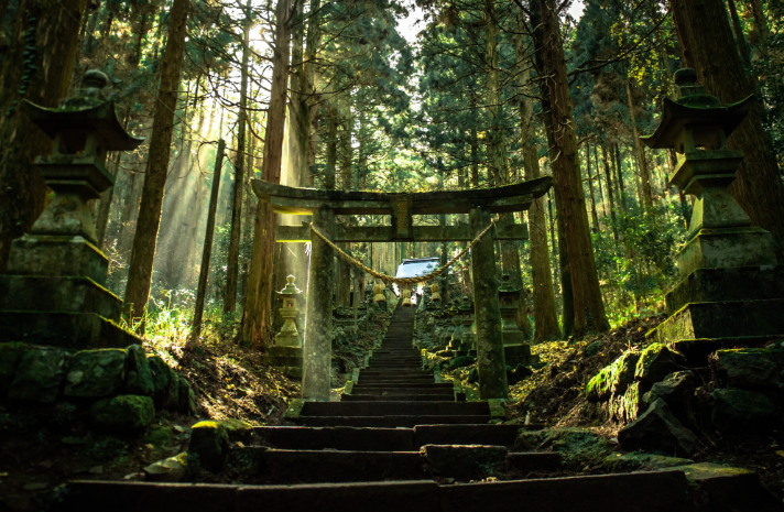 【2025年最新】和歌山県田辺市エリアのおすすめ整体・整骨院10選