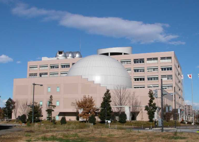 【2025年最新】埼玉県川口市エリアのおすすめ整体・整骨院10選