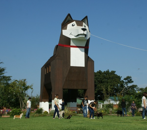 【2025年最新】つくば市エリアのおすすめ整体・整骨院10選