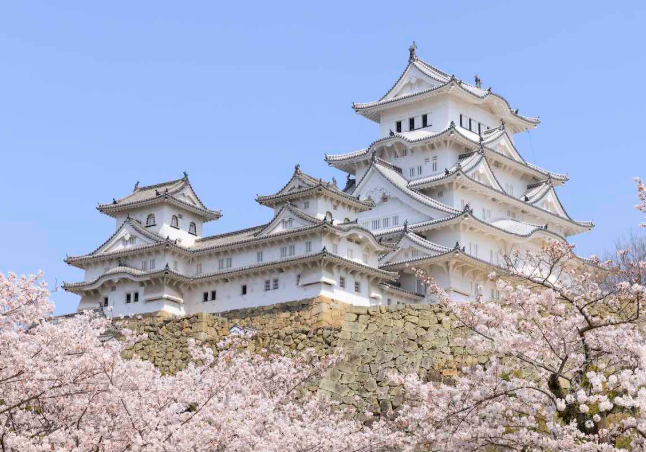 【姫路市】整骨院・鍼灸院おすすめ10選｜姫路駅周辺〜郊外まで、口コミ・料金・駐車場・交通事故対応で比較