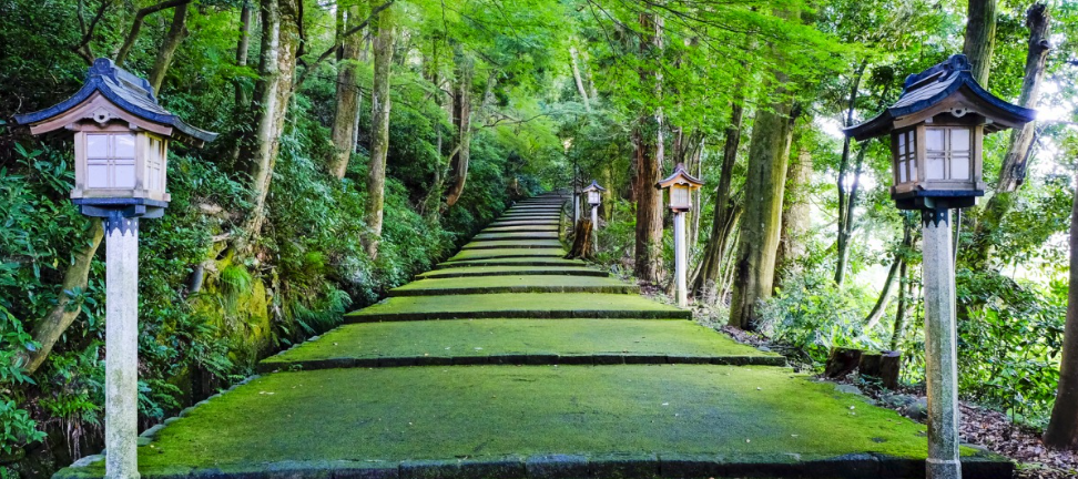 【2026年最新】石川県白山市エリアのおすすめ整体・整骨院10選