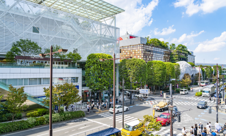 【2026年最新】東京都世田谷区エリアのおすすめ整体・整骨院10選