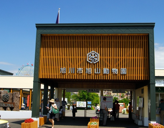 【2026年最新】北海道旭川市エリアのおすすめ整体・整骨院10選