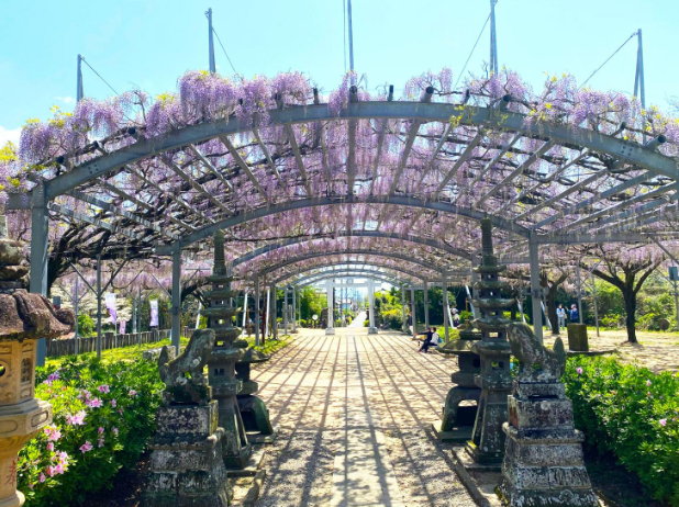 【2026年最新】玉名市エリアのおすすめ整体・整骨院10選