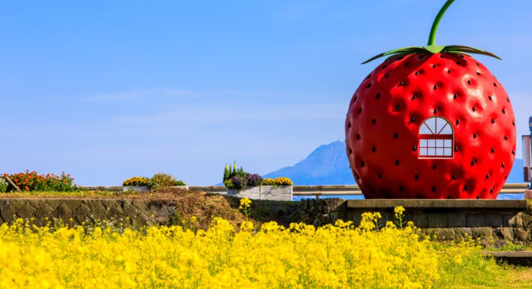 【2026年最新】長崎県諫早市エリアのおすすめ整体・整骨院10選