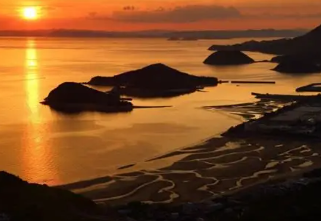 【2026年最新】香川県三豊市エリアのおすすめ整骨院・鍼灸院10選