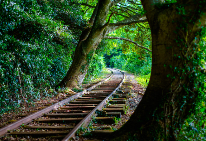 【2026年最新】倉吉市エリアのおすすめ整骨院・鍼灸院10選