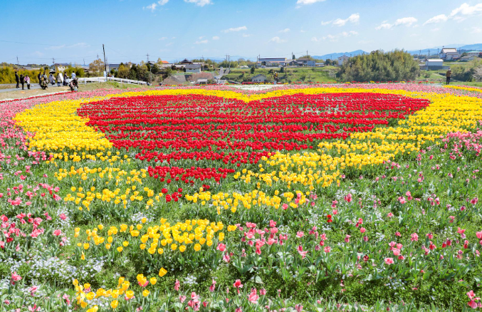 【2026年最新】和歌山県橋本市エリアのおすすめ整骨院・鍼灸院10選