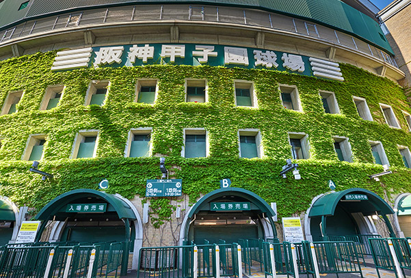 【2026年最新】兵庫県西宮市エリアのおすすめ整骨院・鍼灸院10選