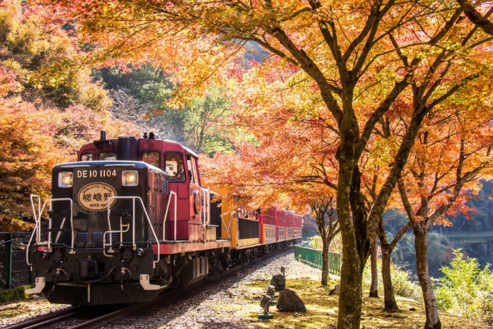 【2026年最新】京都府亀岡市エリアのおすすめ整骨院・鍼灸院10選