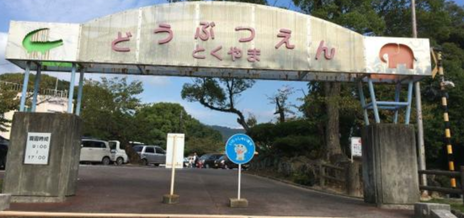 【2026年最新】山口県周南市エリアのおすすめ整体・整骨院10選