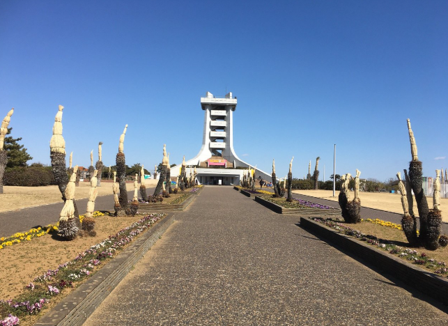 【2026年最新】千葉県山武郡エリアのおすすめ整体・整骨院10選