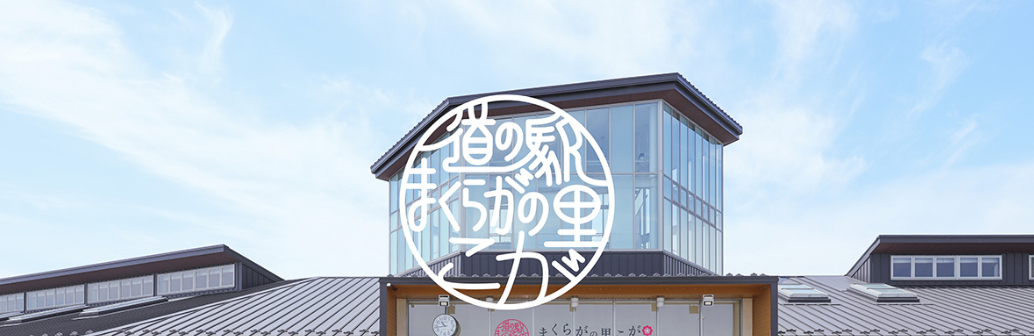 【2026年最新】茨城県古河市エリアのおすすめ整体・整骨院10選