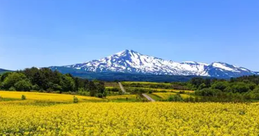 【2026年最新】秋田県由利本荘市エリアのおすすめ整体・整骨院10選