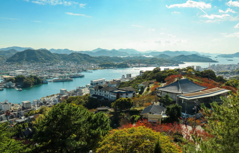 【2026年最新】広島県尾道市エリアのおすすめ整体・整骨院10選