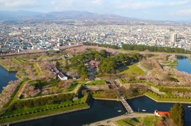 【2026年最新】長野県佐久市エリアのおすすめ整体・整骨院・鍼灸院10選