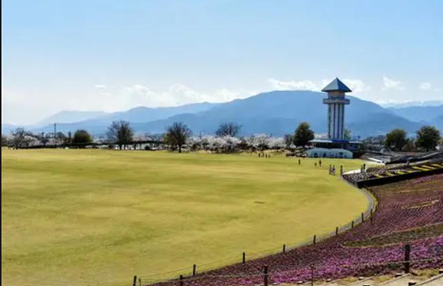 【2026年最新】山梨県甲斐市エリアのおすすめ整体・整骨院・鍼灸院10選