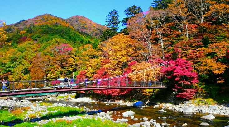 【2026年最新】栃木県那須塩原市エリアのおすすめ整体・整骨院10選