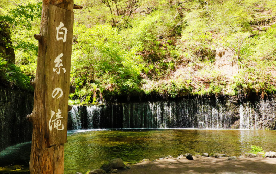 【2026年最新】福島県白河市エリアのおすすめ整骨院・鍼灸院10選
