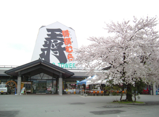 【2026年最新】山形県天童市エリアのおすすめ整骨院・鍼灸院10選