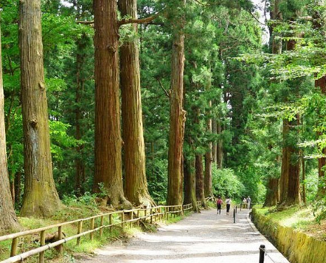 【2026年最新】宮城県栗原市エリアのおすすめ整骨院・鍼灸院10選