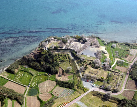 【2026年最新】長崎県南島原市エリアのおすすめ整体・整骨院10選